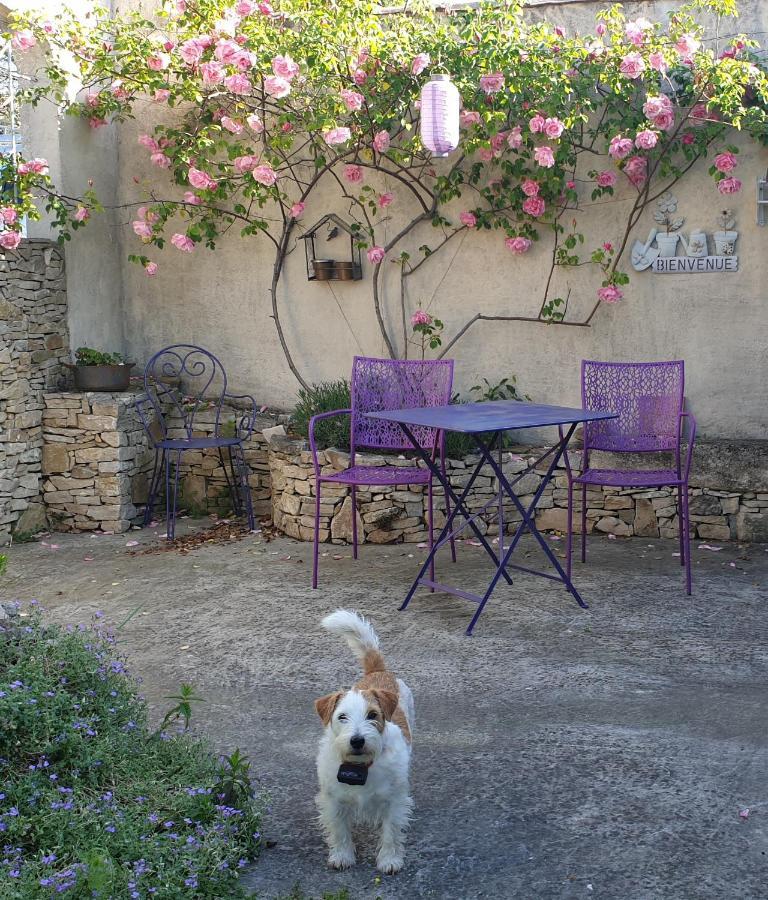 Pause Couleur Lavandula Roussas المظهر الخارجي الصورة