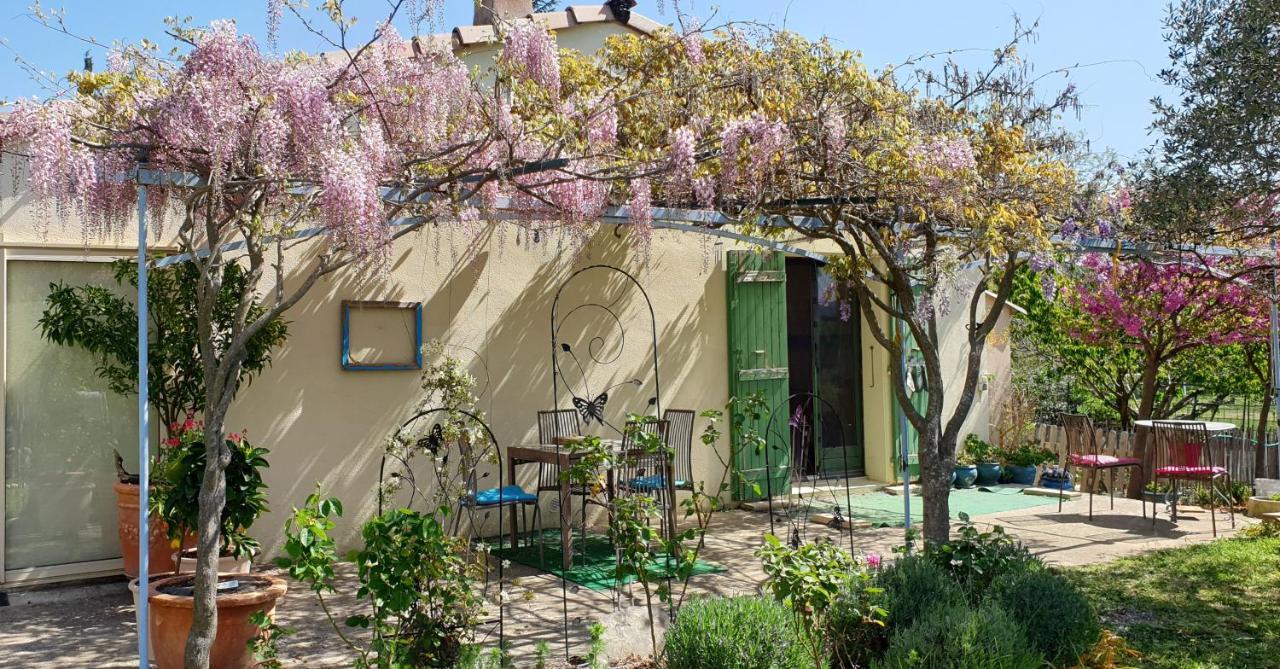 Pause Couleur Lavandula Roussas المظهر الخارجي الصورة
