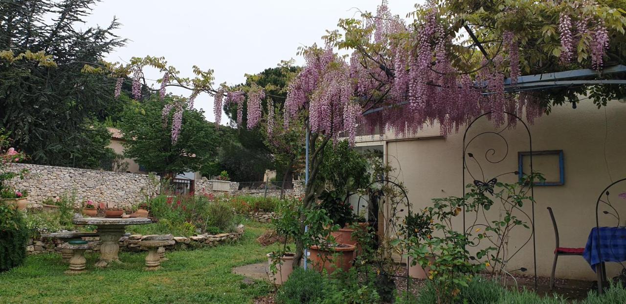 Pause Couleur Lavandula Roussas المظهر الخارجي الصورة