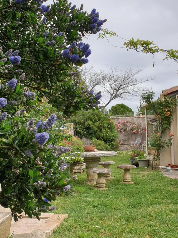 Pause Couleur Lavandula Roussas المظهر الخارجي الصورة