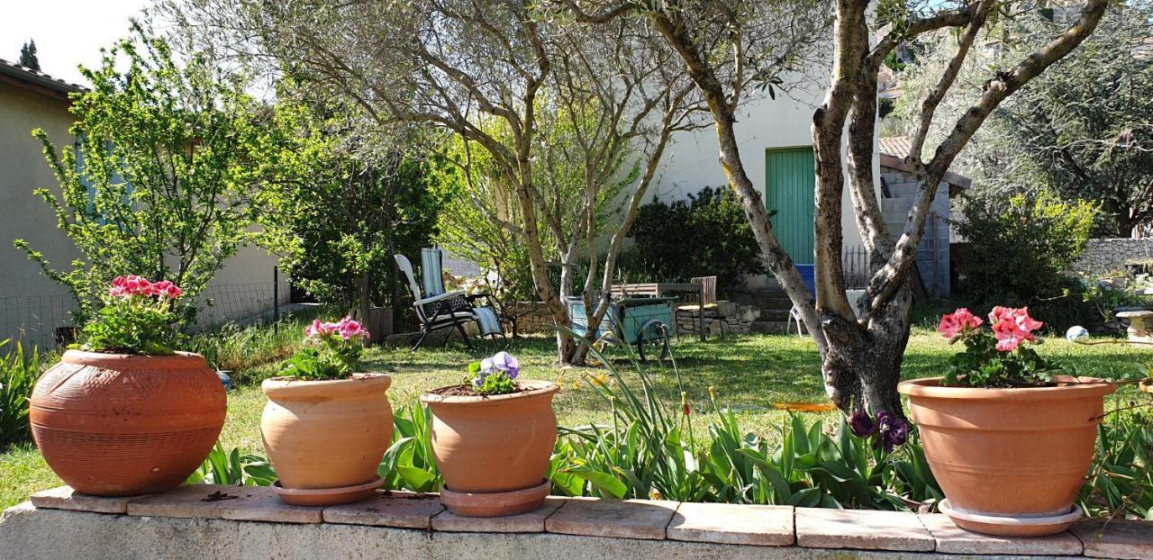 Pause Couleur Lavandula Roussas المظهر الخارجي الصورة
